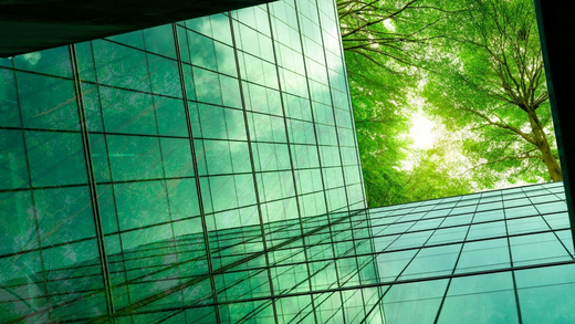 Modernes Gebäude mit Fensterfronten von unten nach oben mit Blick in Baumkronen, durch die die Sonne scheint.