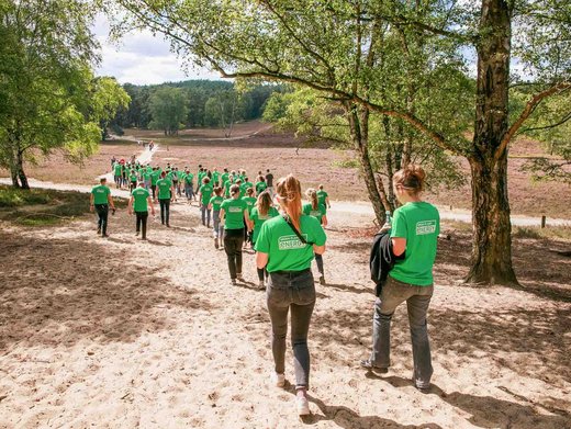 Eine Gruppe Menschen von hinten aufgenommen. Sie tragen grünen T-Shirts mit dem Logo von Green Planet Energy und laufen durch eine Heidelandschaft.