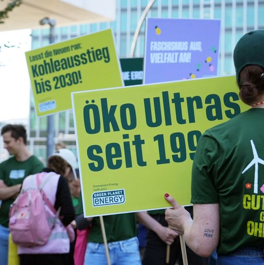 Eine Frau von hinten, die ein Demoschild hält, das etwas von ihrer Schulter verdeckt wird - noch zu erkennen der Text "Öko Ultras seit 199...".